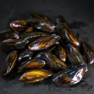 live_mussels