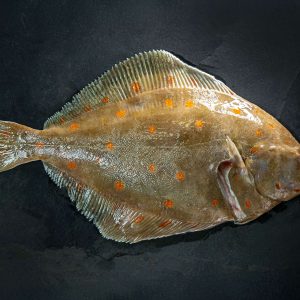 Cornish_whole_Plaice