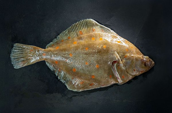 Cornish_whole_Plaice